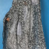 chikankari dupatta